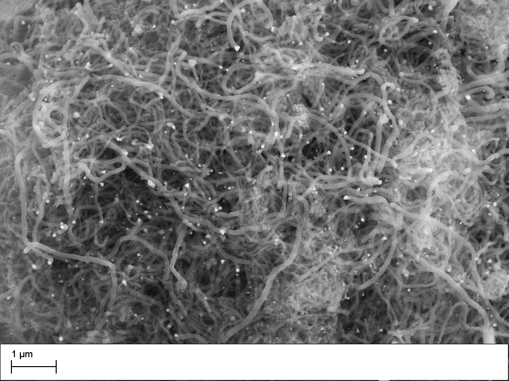 SWCNT water dispersion 