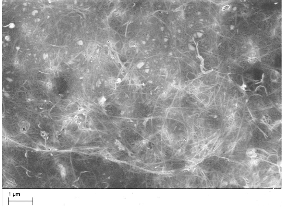 SWCNT water dispersion 